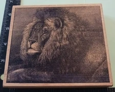 Lion, King Of The Jungle, Magenta, Heavy, Big,(B600),Used,Mounted