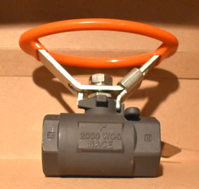 Quadrant Valve & Accuation Series SS-SS 1 in. Stainless Steel Ball Valve