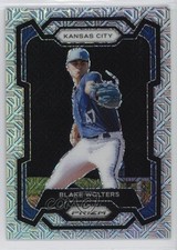 2024 Panini Prizm Mojo Prizm 9/25 Blake Wolters #150 17u0