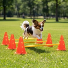 Pylon Obstacle Set 6 pylons Dog Agility Equipment Set Portable Pet Jump Training