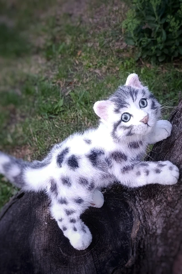 realistic plush  cat handmade-OOAK - Collectible Art Doll - Poseable toy cat - Image 4 of 4