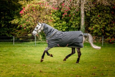 Outdoordecke 600D AMIGO Hero Ripstop Plus Lite Horseware shadow/rose/navy