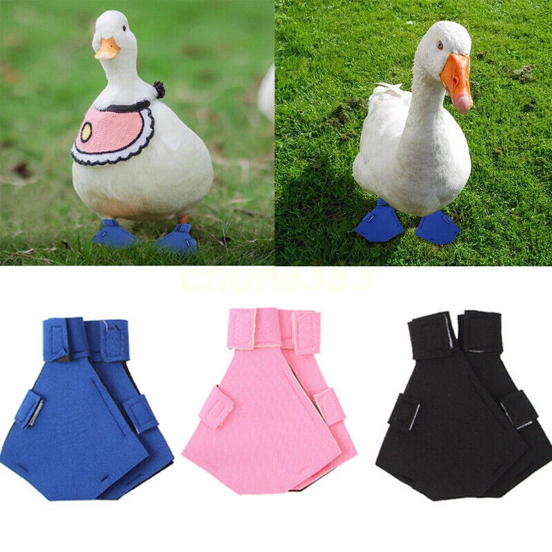 Hot Deal Pet Duck Boot Shoes Anti slip Breathable Goose Booties Outdoor Footwear