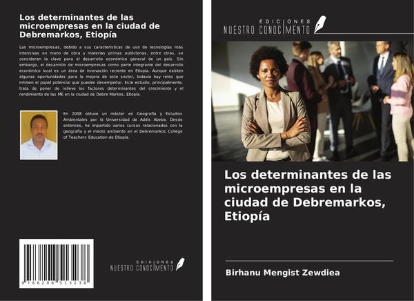 Birhanu Mengist Zewdiea | Los Determinantes De Las Microempresas En La Ciudad...-image