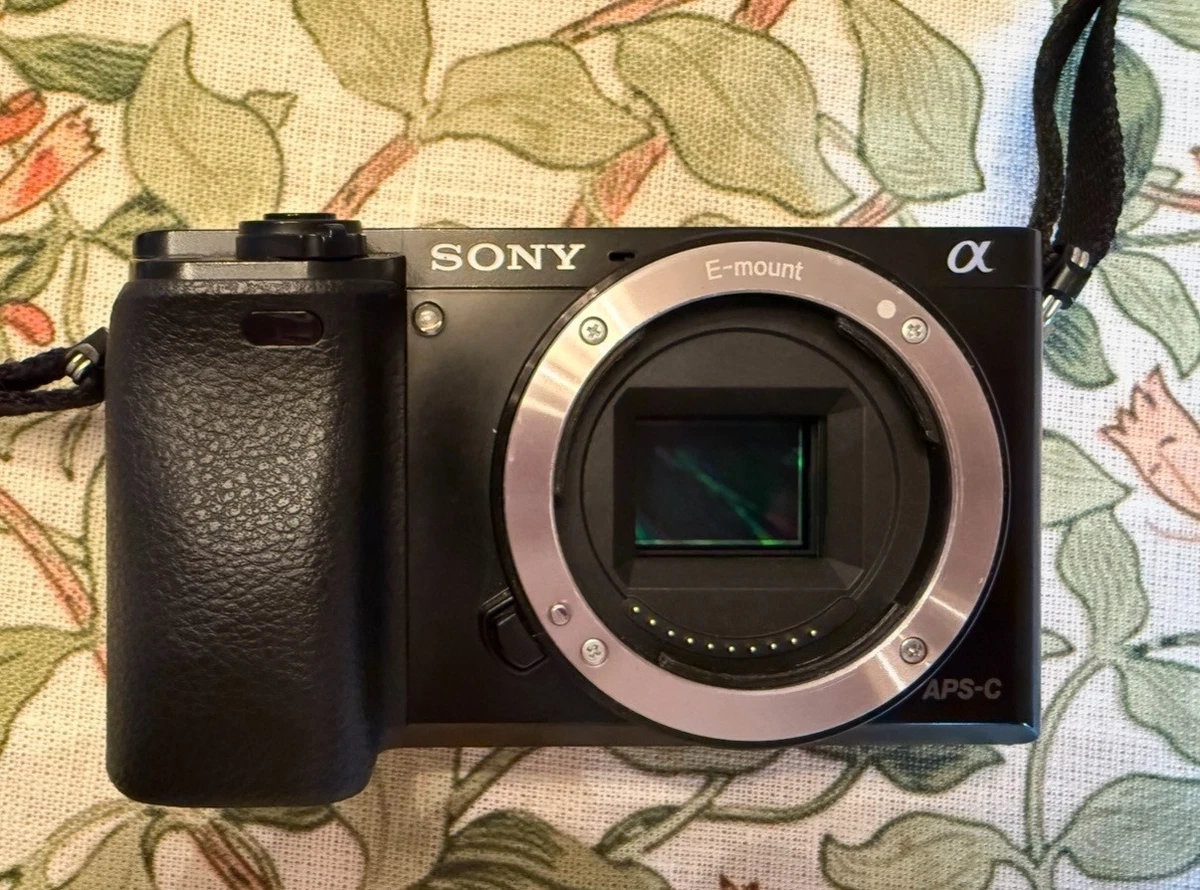 Sony A6000 Body Only Digital Cameras for sale | eBay