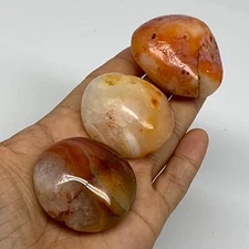 203.3g, 1.8"-2", 3pcs, Red Carnelian Palm-Stone Gem Crystal Polished, B37610
