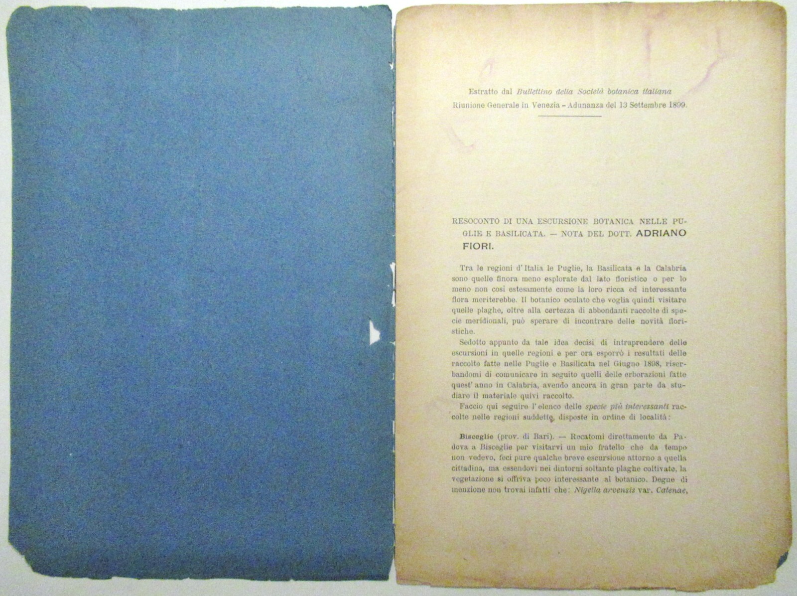 Foto 1 di 2