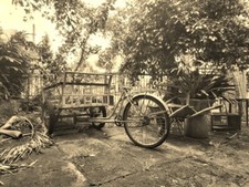 Foto retro de bicicleta en la naturaleza Bien Hoa Vietnam 8x10