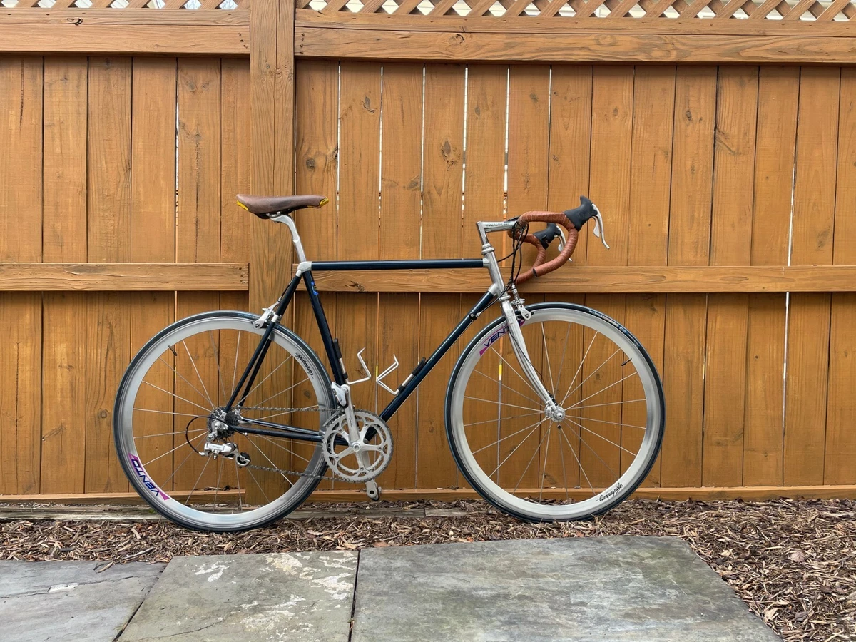 Vitus carbon best sale