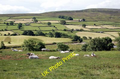 Foto 12x8 Eindringlinge in Swaledale Reeth\/SE0399 Die allermeisten von ihr c2015