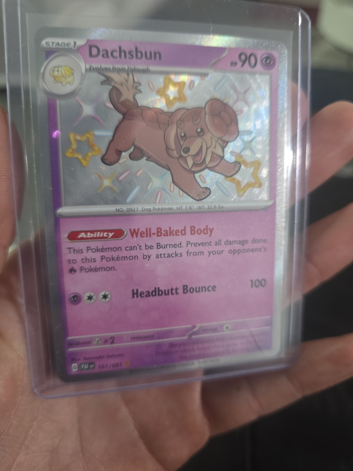DACHSBUN 161/091 ~ SHINY Rare ~ Pokemon TCG: Paldean Fates
