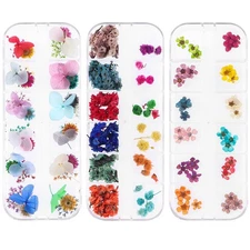3 Boxes Dried Flowers for Nail Art, YWLI Mini Real Natural Flowers Nail Art S...
