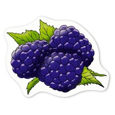 Aufkleber Sticker "Brombeeren" (DW034701)
