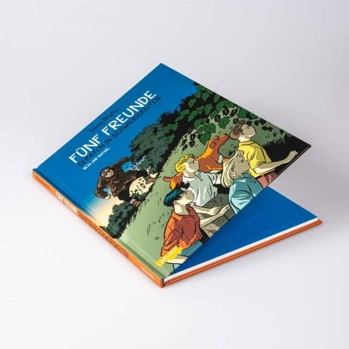 Fünf Freunde Comic 1-7 HC (aus Liste wählen) - Carlsen Comics, Enid Blyton - 第 32/51 張圖片