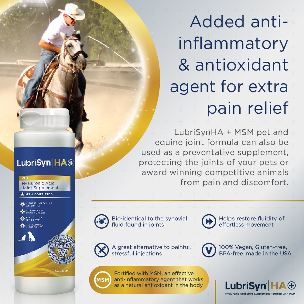 Hyaluronic Acid + MSM Joints Supplement, 8oz: Natural Pure HA Liquid Dog and ...