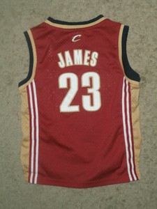 lebron james jersey boys