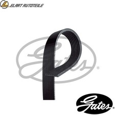 KEILRIPPENRIEMEN 7PK2443 FÜR INFINITI QX80QX56 VK56VD 5.6L 8cyl QX80