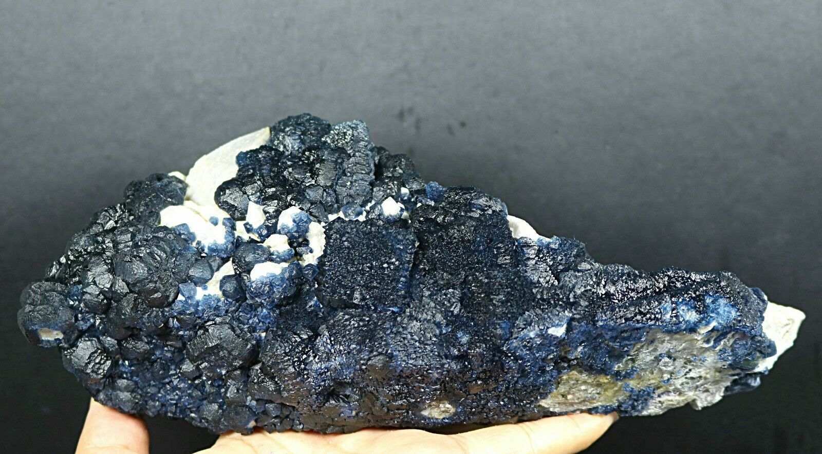 Foto 2 di 9