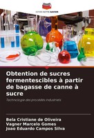 Obtention De Sucres Fermentescibles à Partir De Bagasse De Canne à Sucre Buch