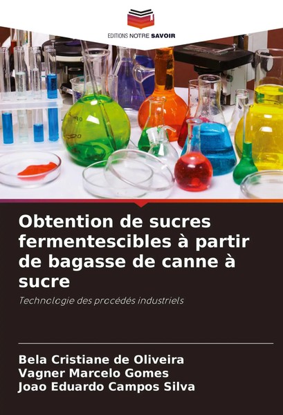 Obtention De Sucres Fermentescibles à Partir De Bagasse De Canne à Sucre Buch-image