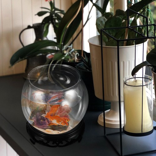 Glass Fish Bowl with Wood Holder Transparent Round Desktop Goldfish Fish Tank - Picture 2 of 9