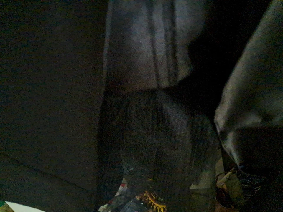 David's Bridal Size 20 Black Wedding Dress - Image 3 of 4