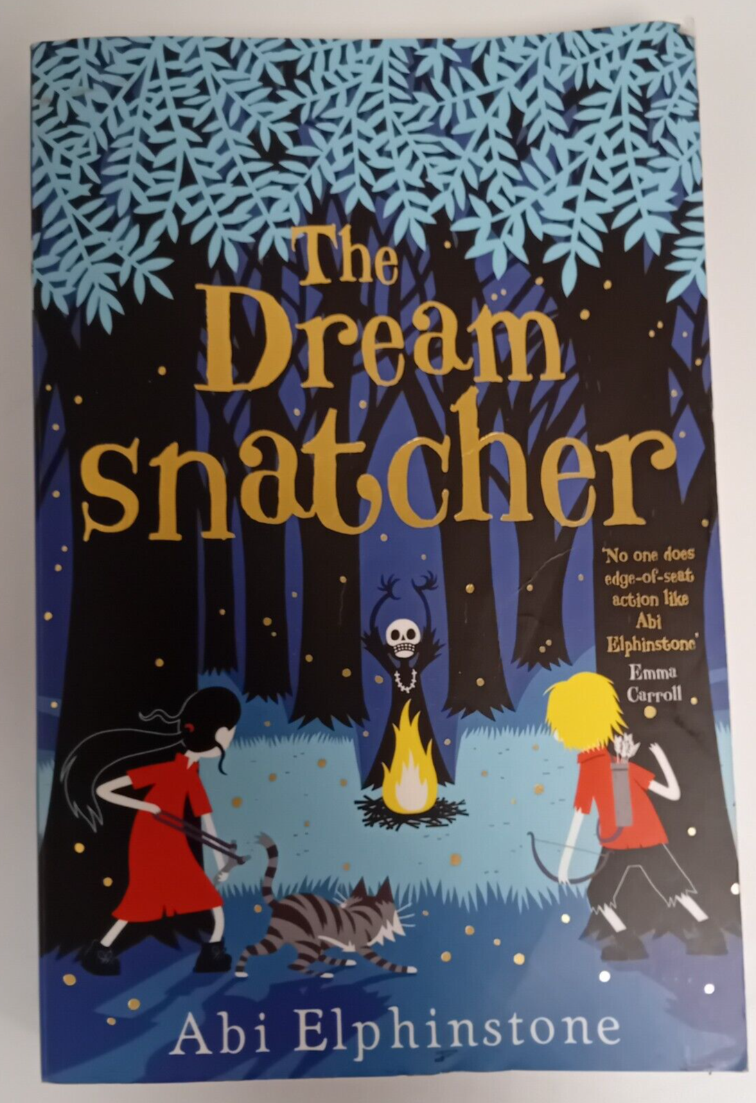 The Dreamsnatcher by Abi Elphinstone (Paperback, 2015)