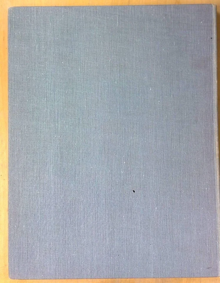 PHOTOGRAPHY and the ART of SEEING - Image 2 of 4