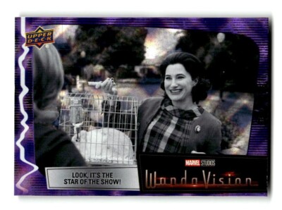 2024 Skybox Marvel Universe Wanda Vision trading card #14 Hologram