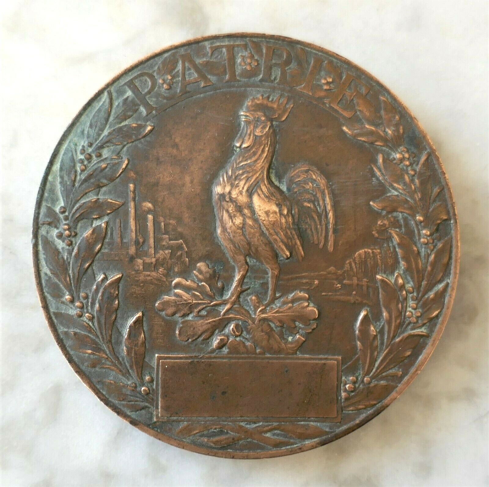 Médaille En Bronze , Signe Possesse , 30 Ans De Lutte Pour L