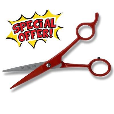 PROFI FRISEUR FRISEUR HAARSCHNEIDESCHERE SCHERE 6,5 ZOLL