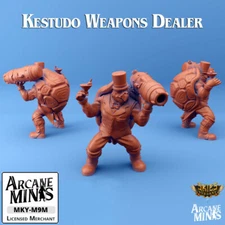 D&D Miniature Tortle Weapons Dealer Dungeons and Dragons Kestudo