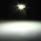 Picture 9 of 9
