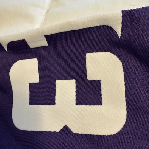 Minnesota Vikings Andrew Van Ginkel Nike NFL Jersey Size L NWOT - Picture 7 of 11