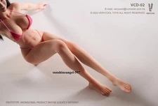 VERYCOOL VCD-02A 1/6 Female Standard body Pinkish White Skin Tone Action Figure