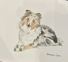 Shetland Sheepdog Original Watercolor by UK Artist Sandra Coen. 7 X 8