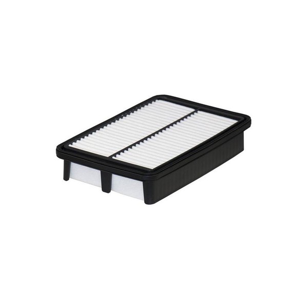 Filtron AP 197/6 Luftfilter FüR Hyundai-image