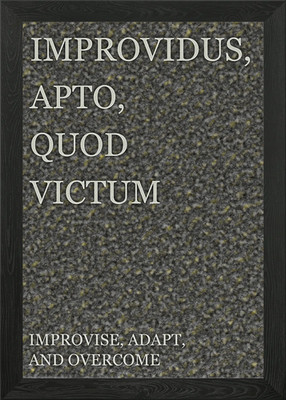 Improvise Adapt Overcome Gerahmtes Wandbild Poster Leinwanddruck Bild
