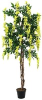 Europalms Goldregenbaum, Gelb, 150Cm