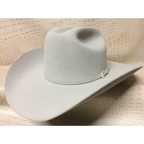 New Stetson Shasta Mist Grey 10X Beaver 