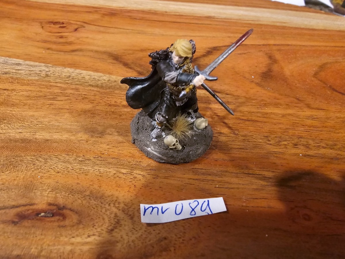 CMON ASOIAF DnD Swordsman Hero A Song of Ice and Fire Nightswatch