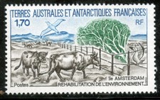 TIMBRE T.A.A.F. / TERRES AUSTRALES NEUF N° 149 ** BETAIL ET OISEAUX