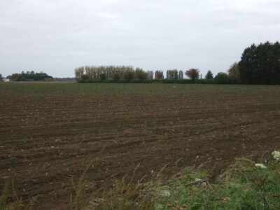 Foto 6x4 flaches Ackerland bei Dial Farm Holly End c2015