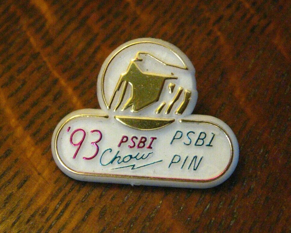Prudential Insurance Vintage 1993 Vintage Lapel Pin - PSBI Chow
