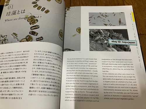 The Amazing World of Diatoms Photobook Visual Book - 第 2/7 張圖片