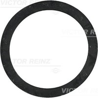 Victor Reinz 40-77243-00 Dichtring