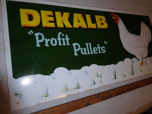 VINTAGE ANTIQUE DEKALB PROFIT PULLET EGG LAYING CHICKEN 28" METAL FEED SEED SIGN - Picture 11 of 21