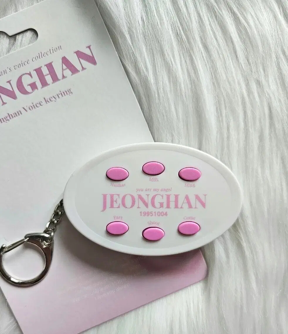 seventeen jeonghan Jung's voice key ring | eBay