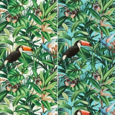 Erismann Paradisio 2 Jungle Exotic Birds Wallpaper Leaves Toucans - White Blue