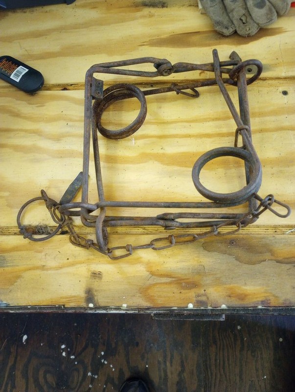 3 HISTORICAL VINTAGE ANIMAL TRAPS (NON FUNCTIONAL) MARTHA'S VINEYARD MEMORABILIA